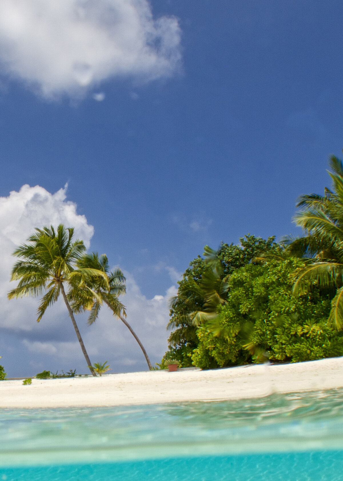 Island_01C