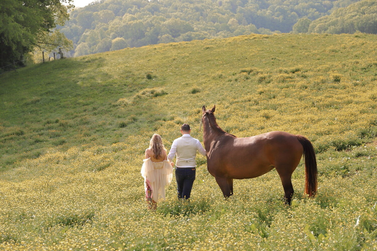 asheville_mountain_elopement_239