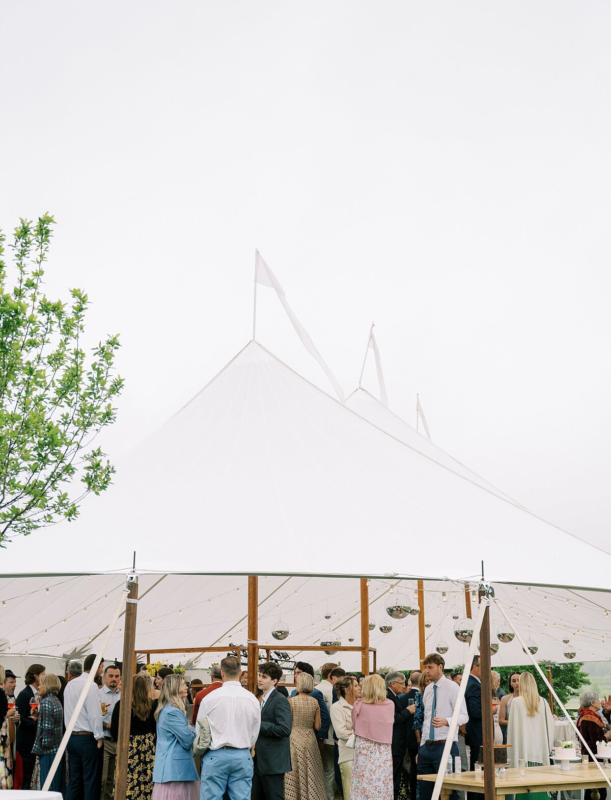 Charlottesville-Wedding-Photographer-Ashley-Eagleson-Photography_0004
