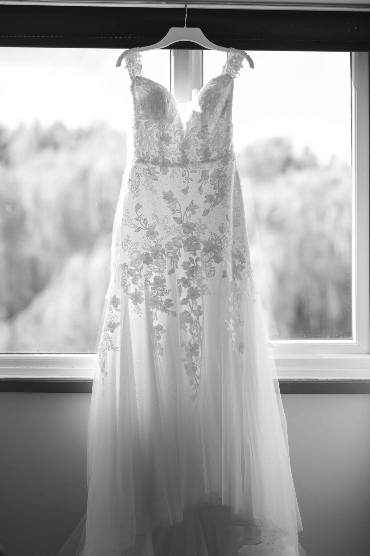 Carmen Sherred Photography-39