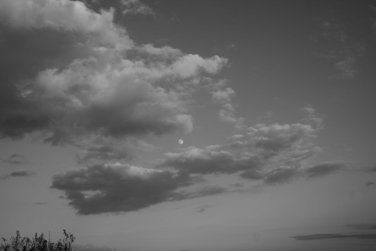 DSC06705