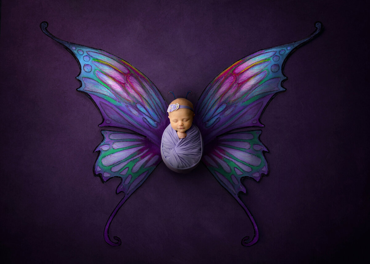 Butterfly-Ellie