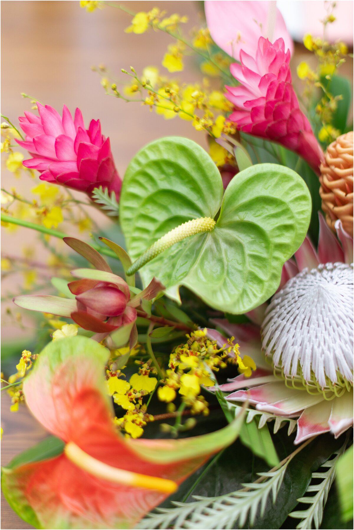 PALIKU-GARDENS-KANEOHE-OAHU-HAWAII-KUALOA-RANCH-WEDDING-4