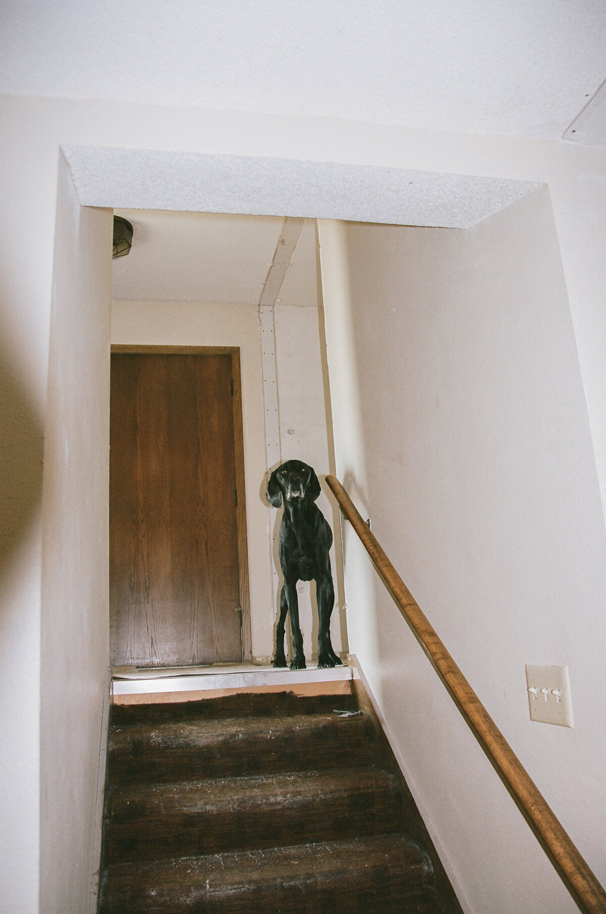 filmsneaks-39