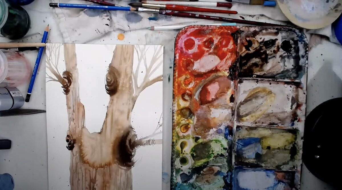 live-2025-01-15-clarence-tree-1