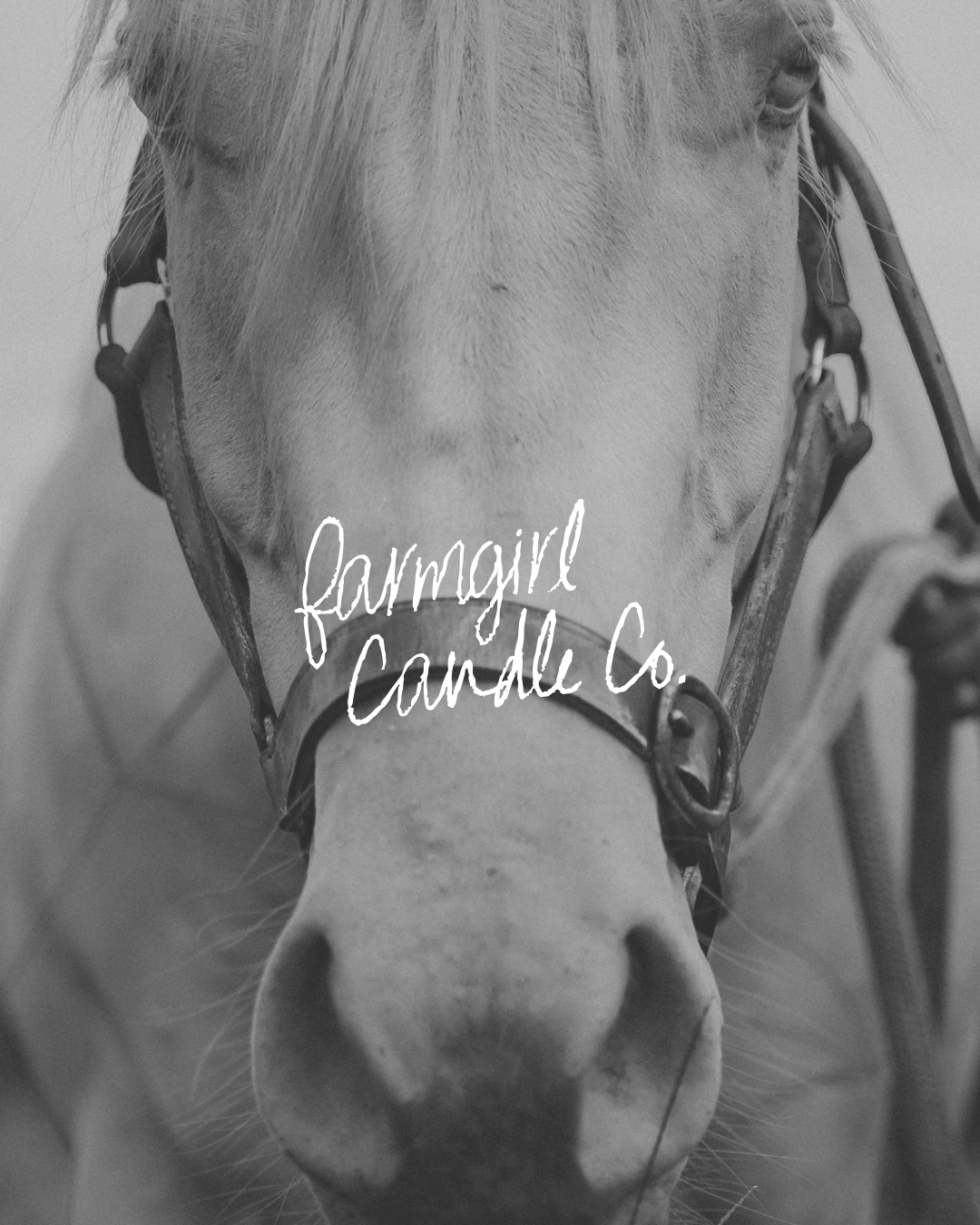 Finished Farmgirl Candle Co IG Templates
