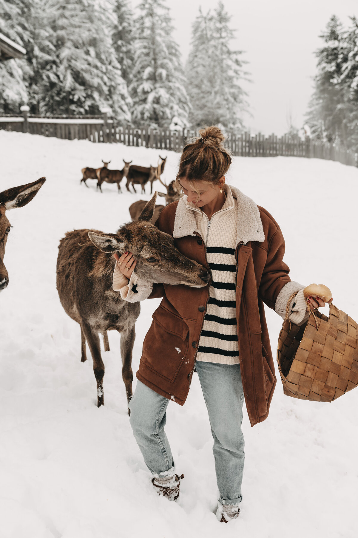 tiere-jufenalm-wildgehege-winter24