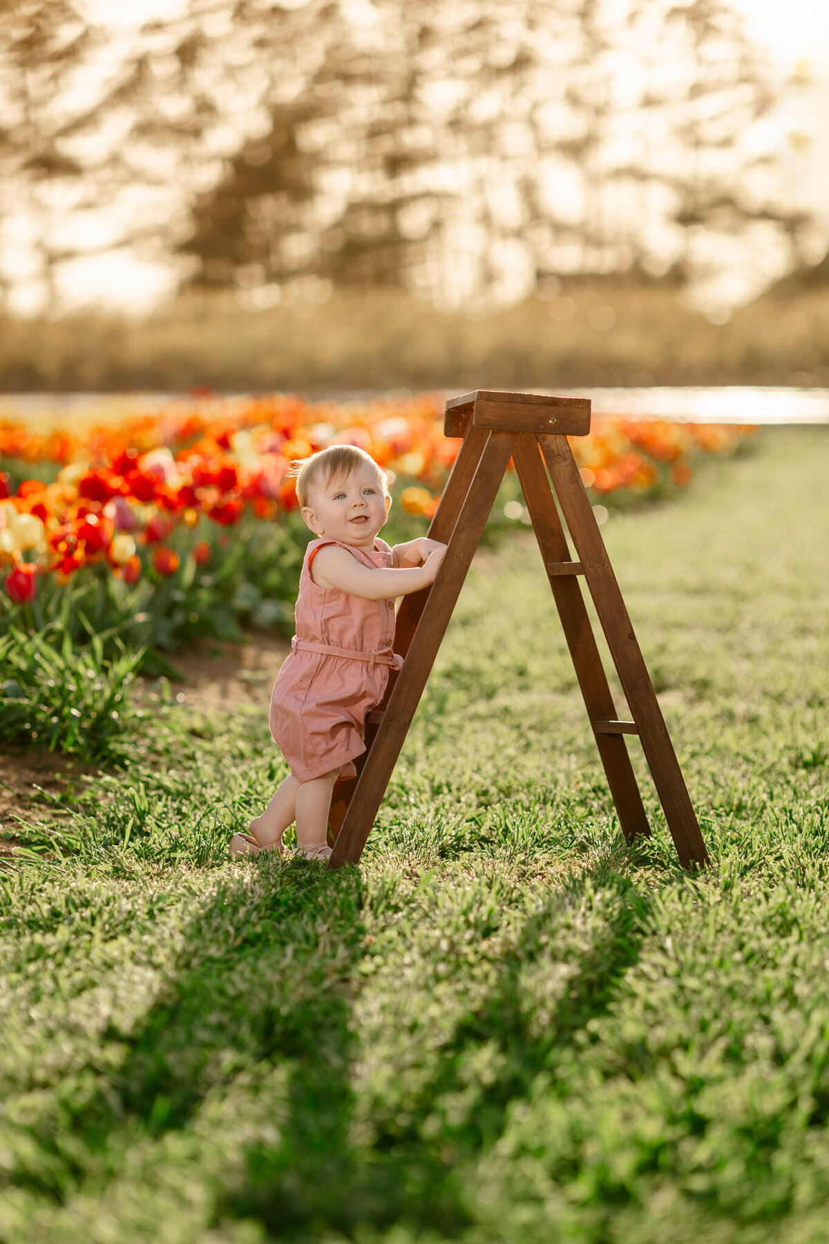 best NWA cake smash photographer, NW Arkansas baby portraits, baby photography NW Arkansas, baby photographer near me Fayetteville AR