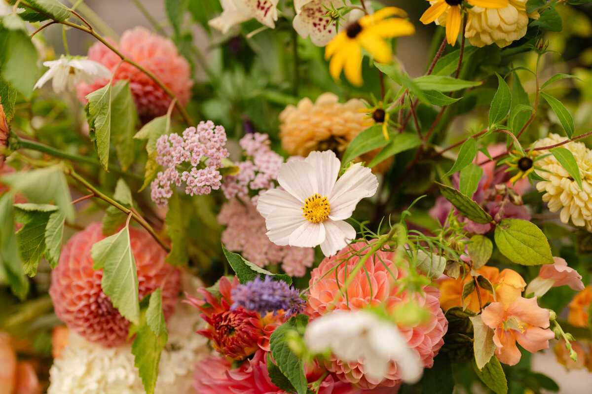 Christiansons-Nursery-Wedding-Photographer-Bellingham_Caylie-Mash_0519