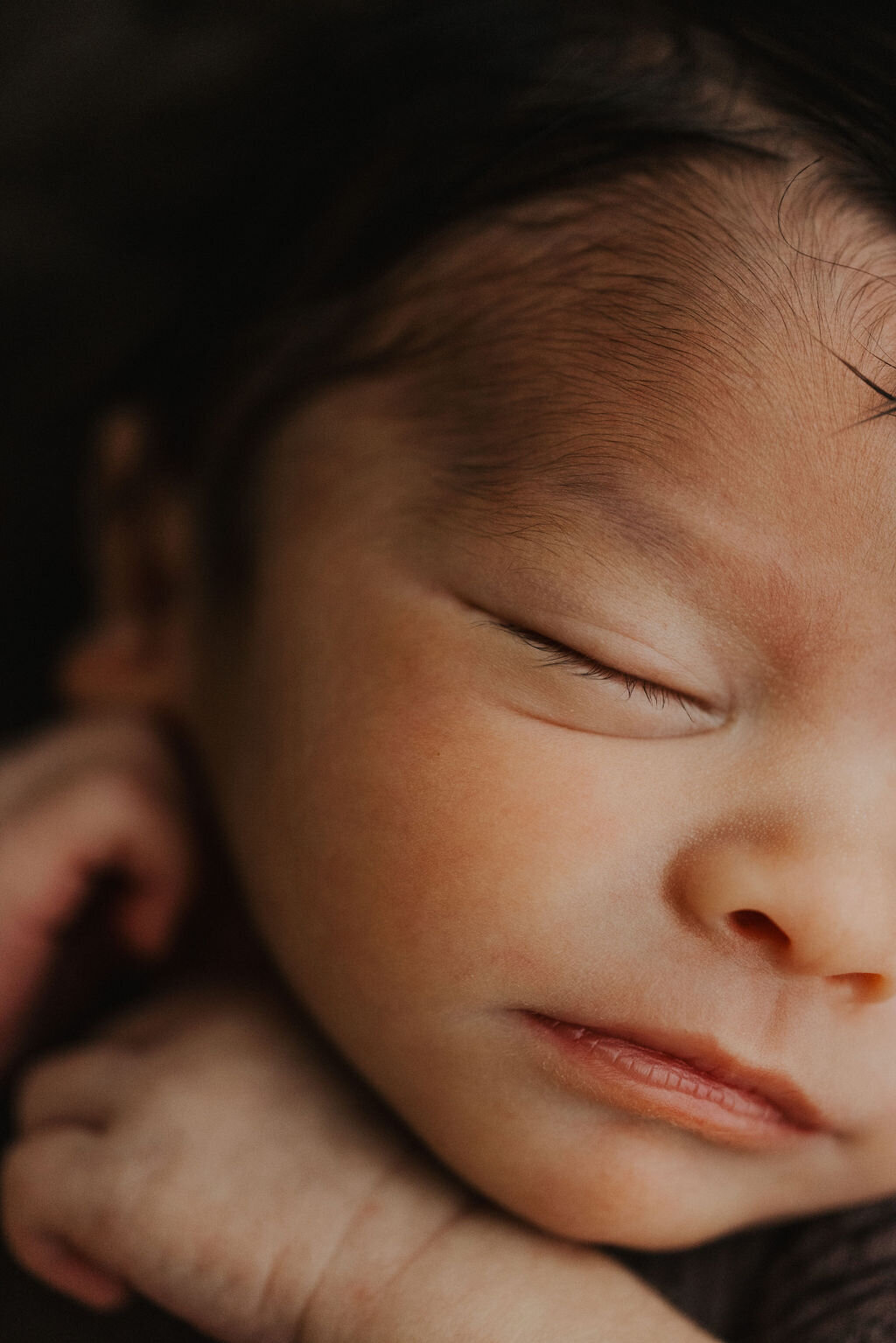 missouri-newborn-photographerI23A5131