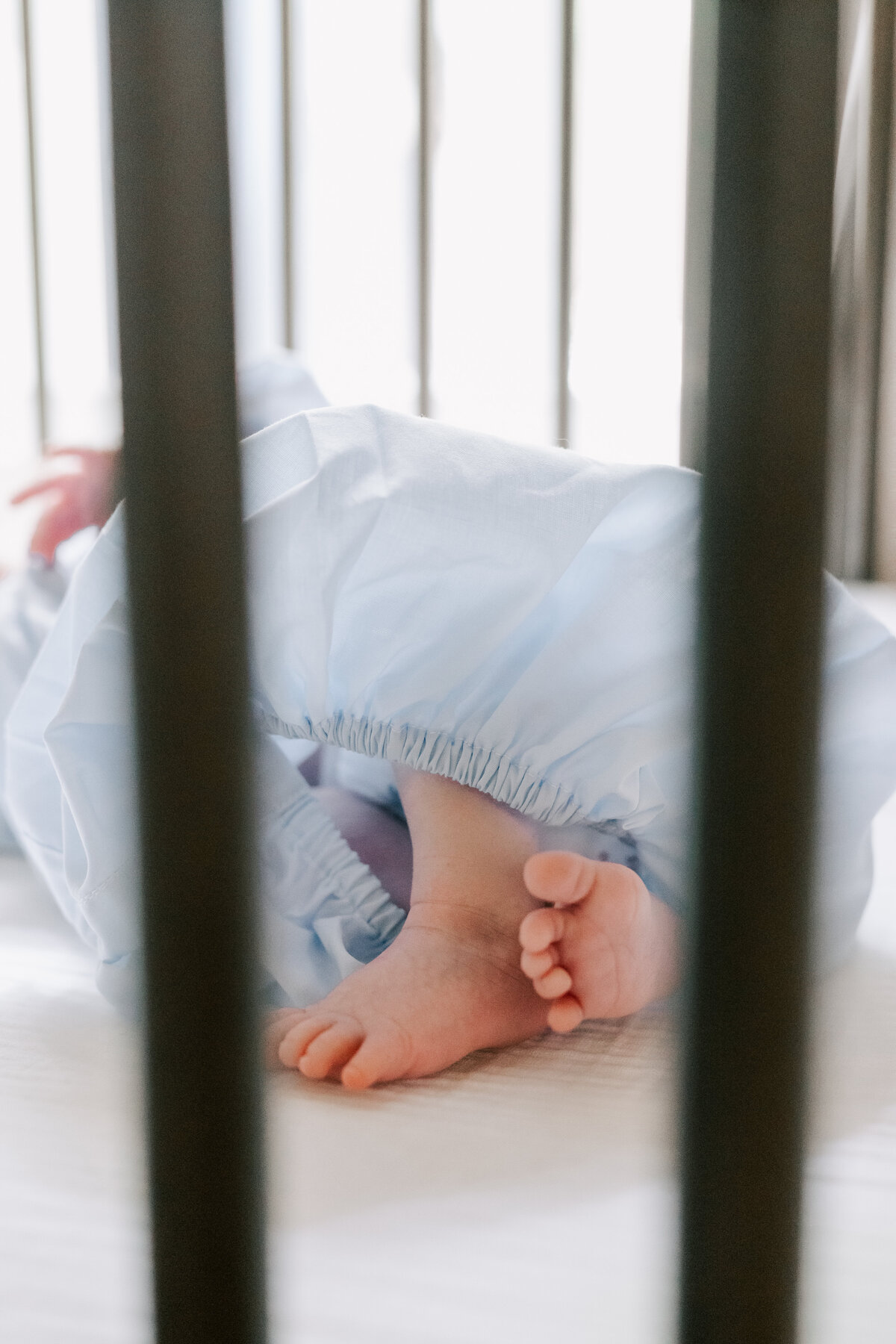 JessMashburnPhotography-pittsnewborn-81