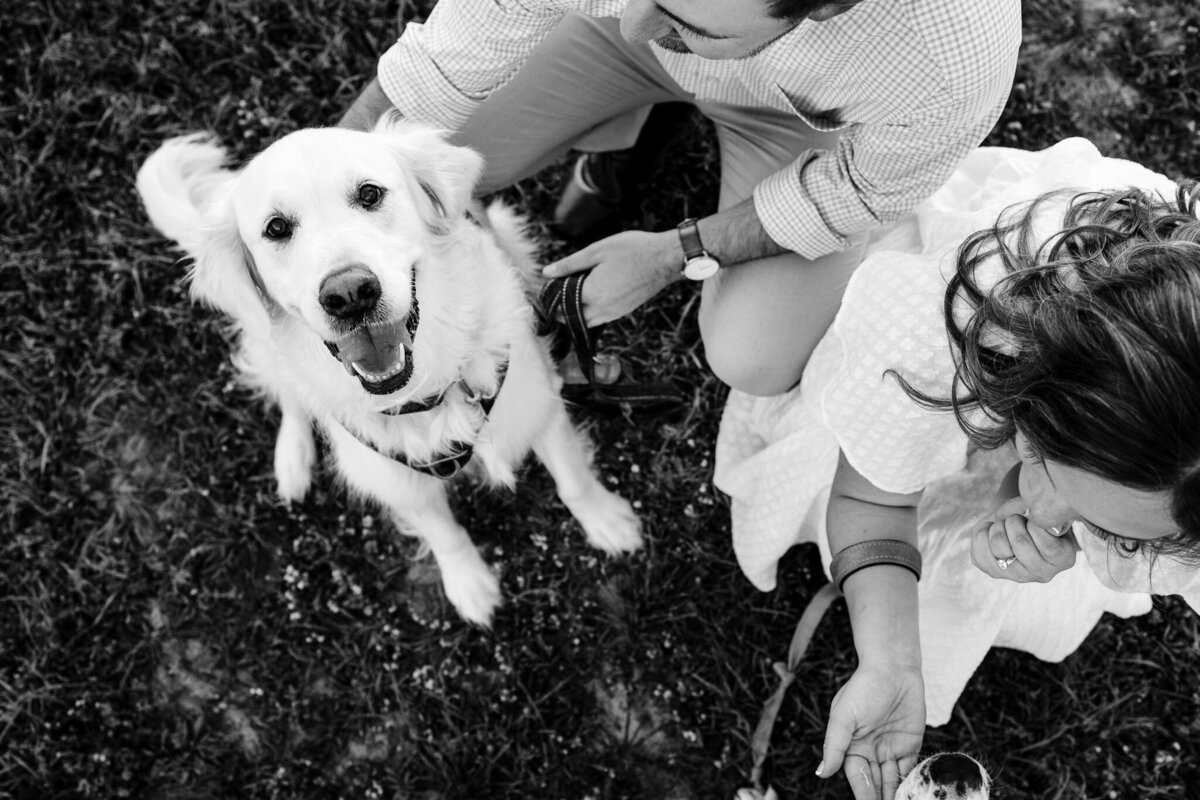 georgetown-engagement-photos-88