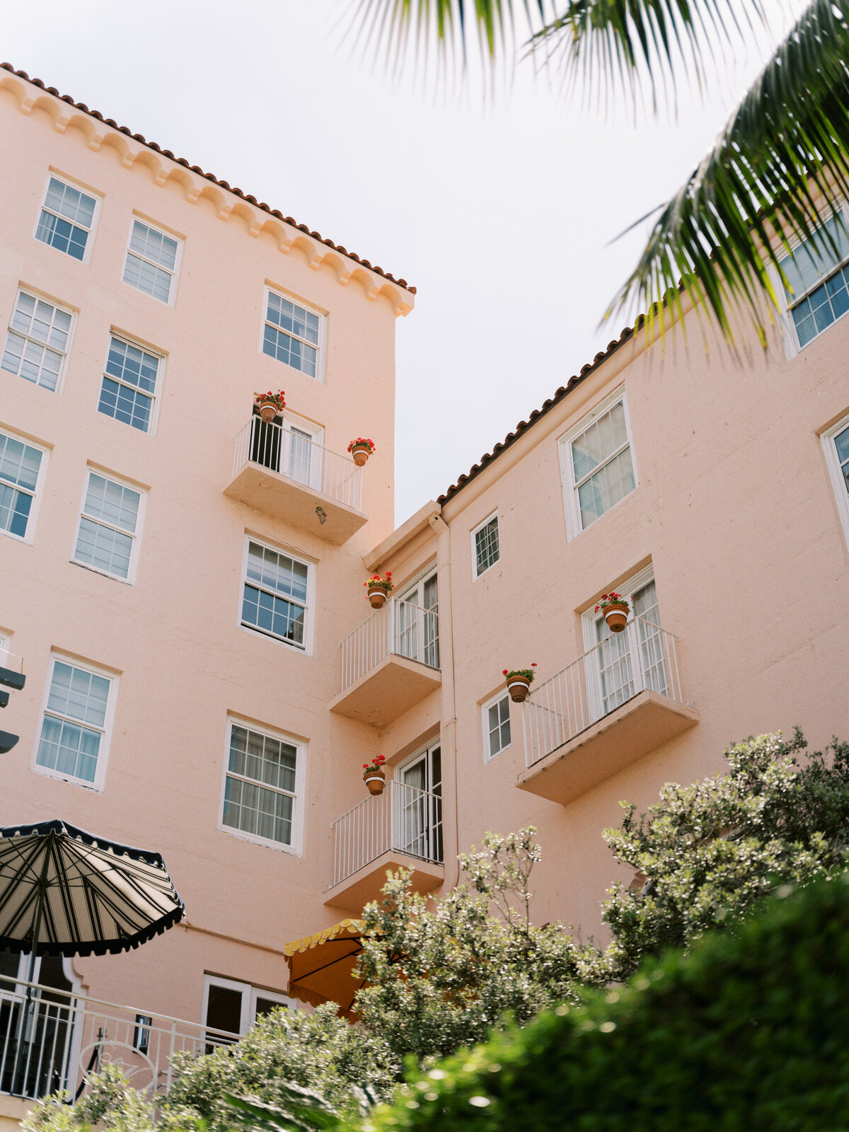 San Diego Wedding-003