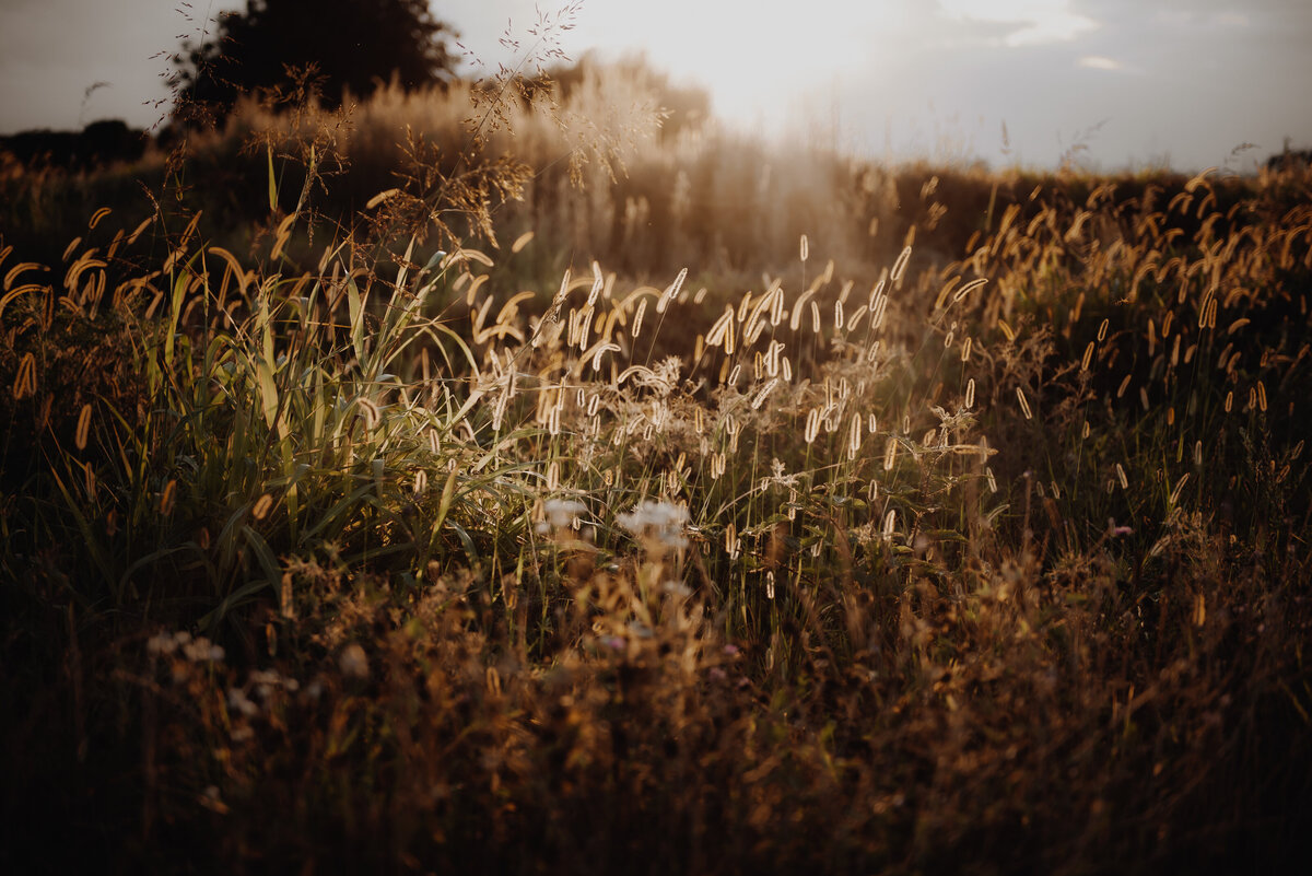 haute-stock-photography-subscription-golden-hour-collection-final-3