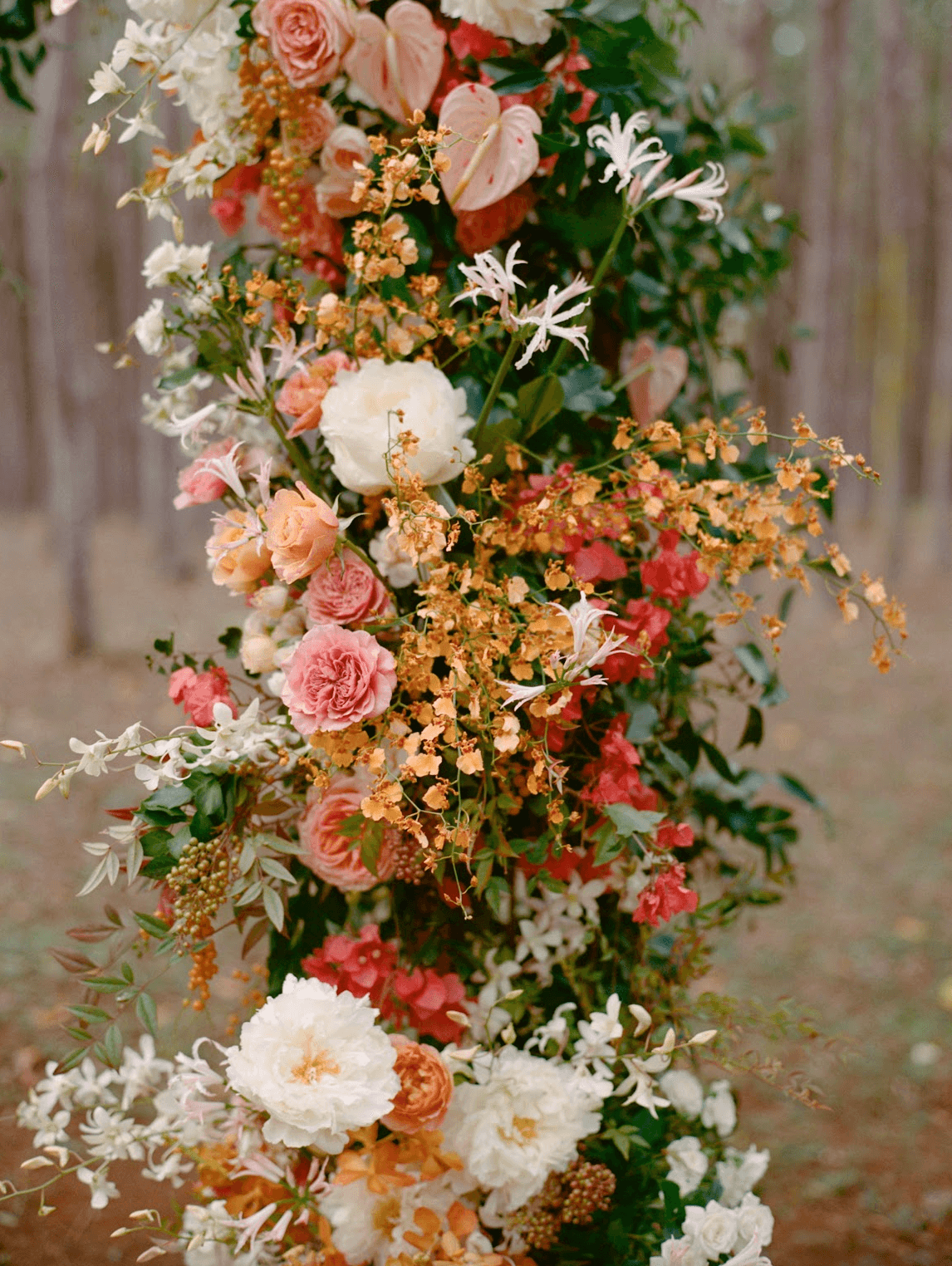 Screenshot 2025-11-25 at 12.04.22 PM