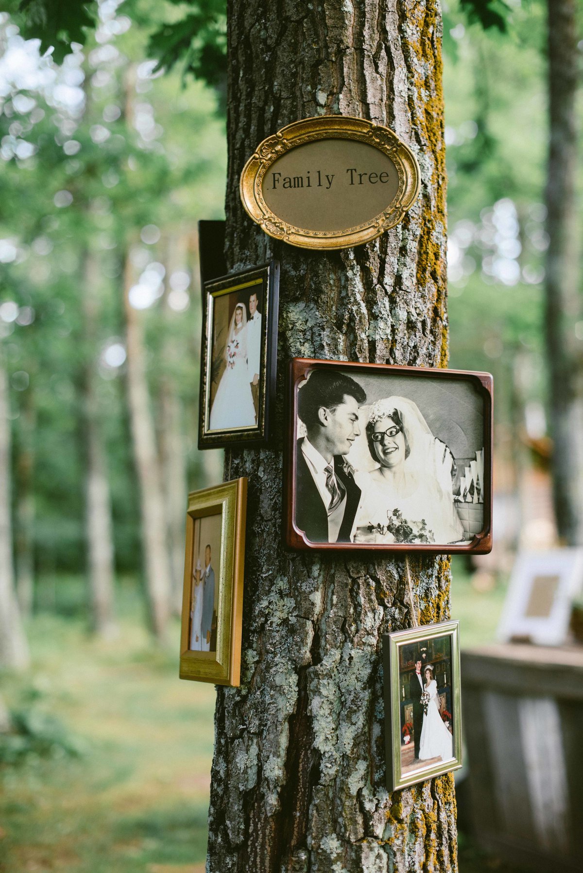 Brittany and John-488