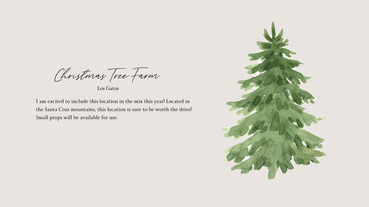 Los Gatos Christmas Tree Farm Family Session