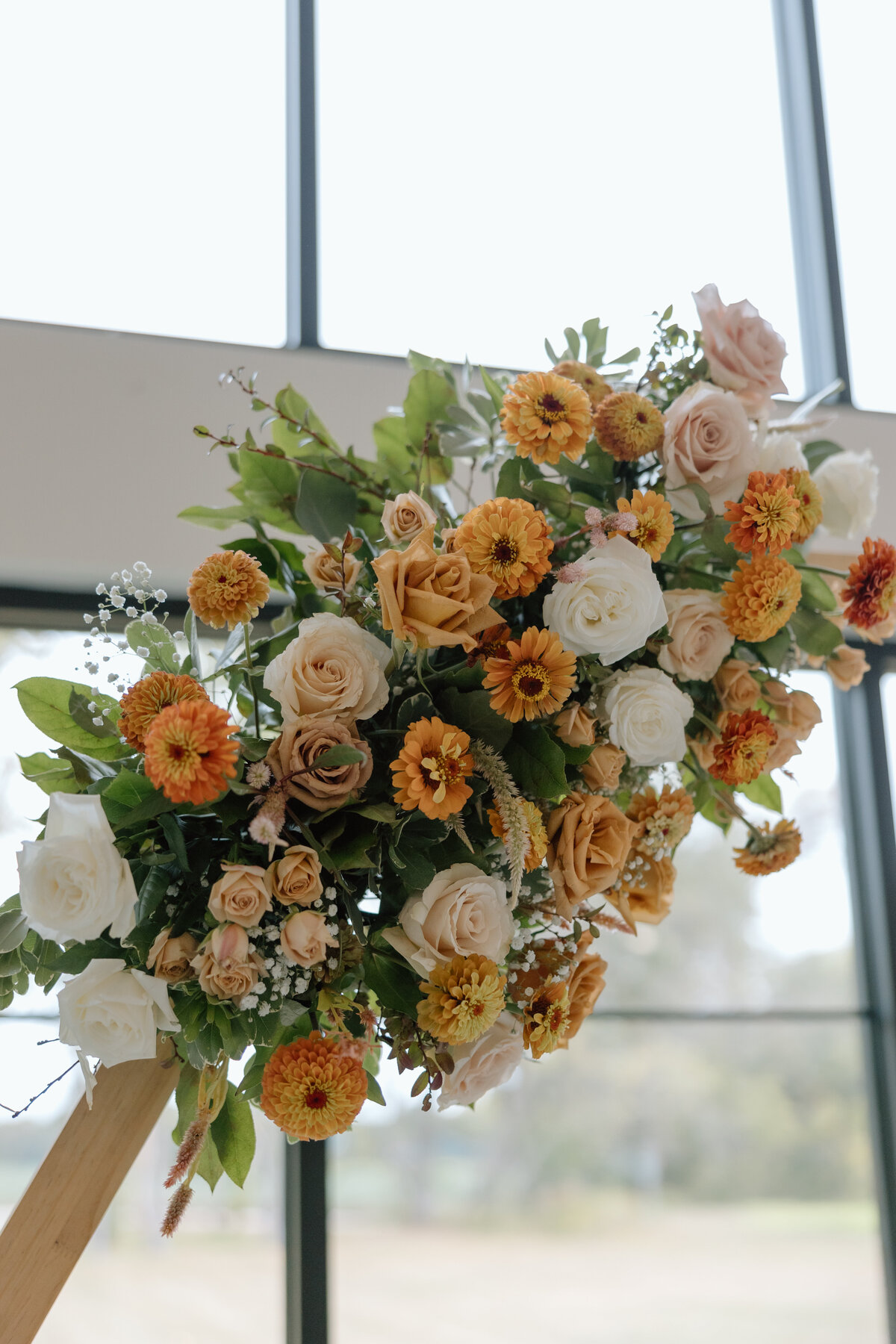 Lemons Photography 2