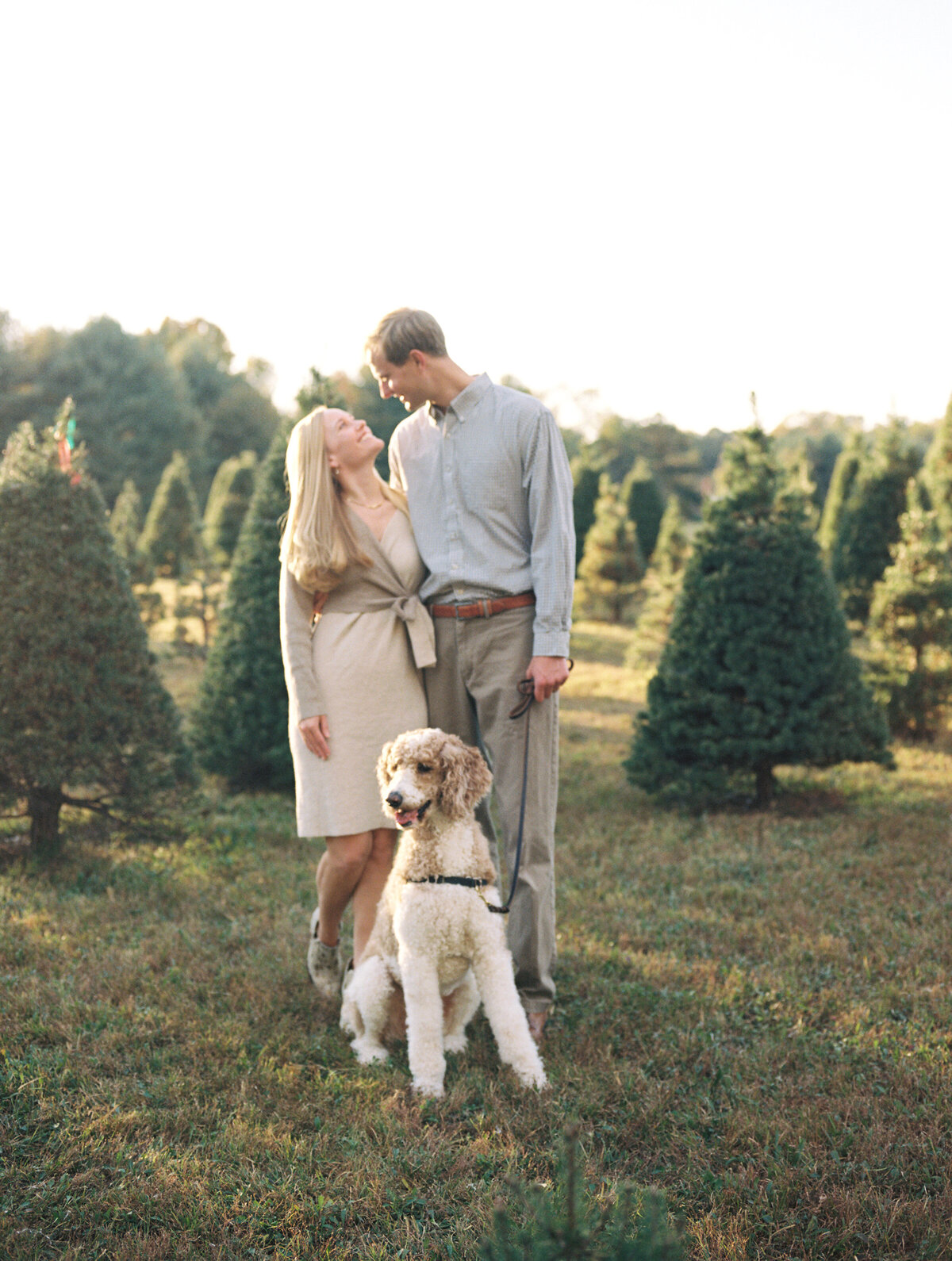 holiday photo with couple and dog