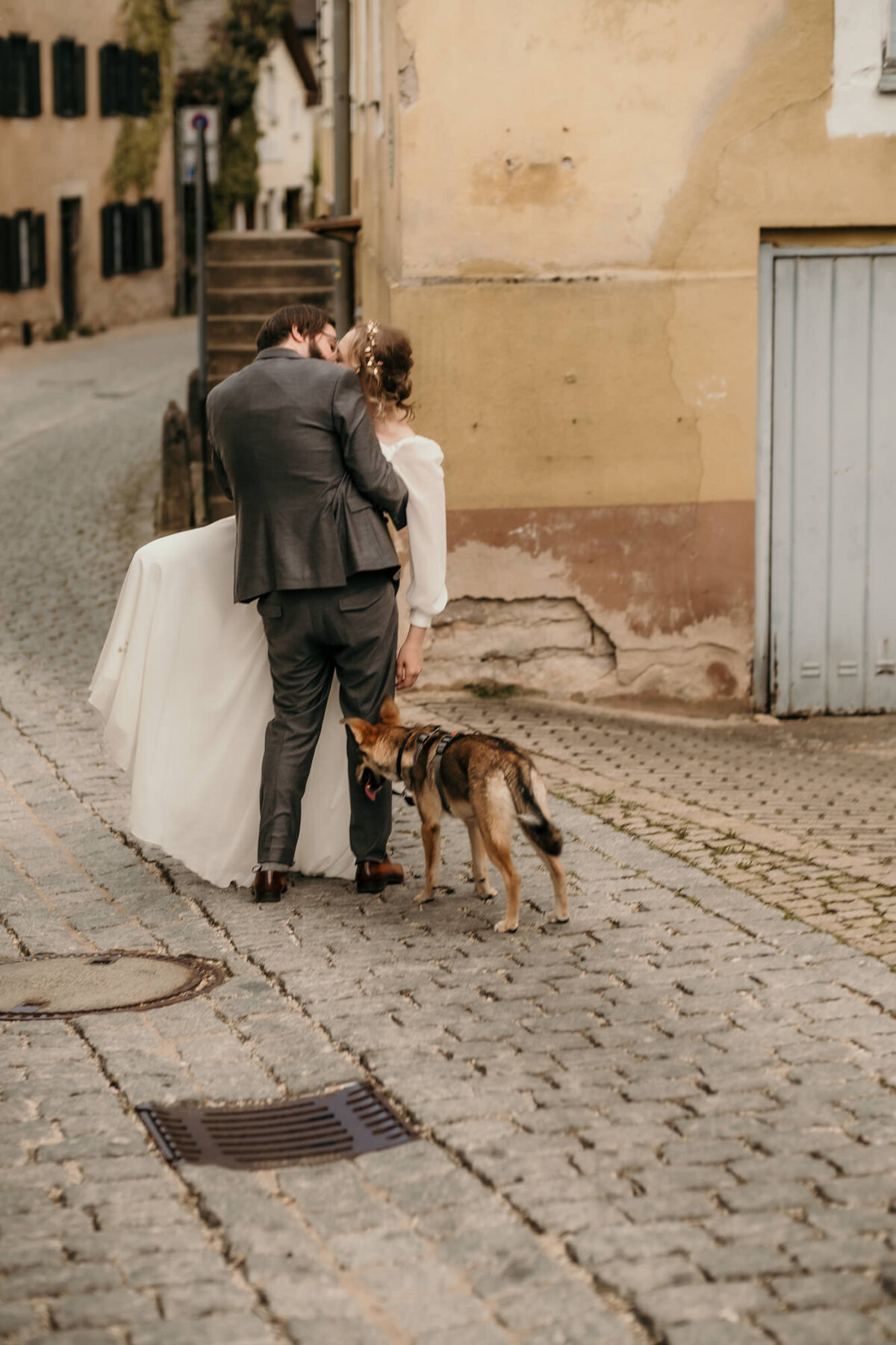 In einem innigen Kuss von hinten fotografiert steht das Hochzeitspaar neben ihrem Hund.