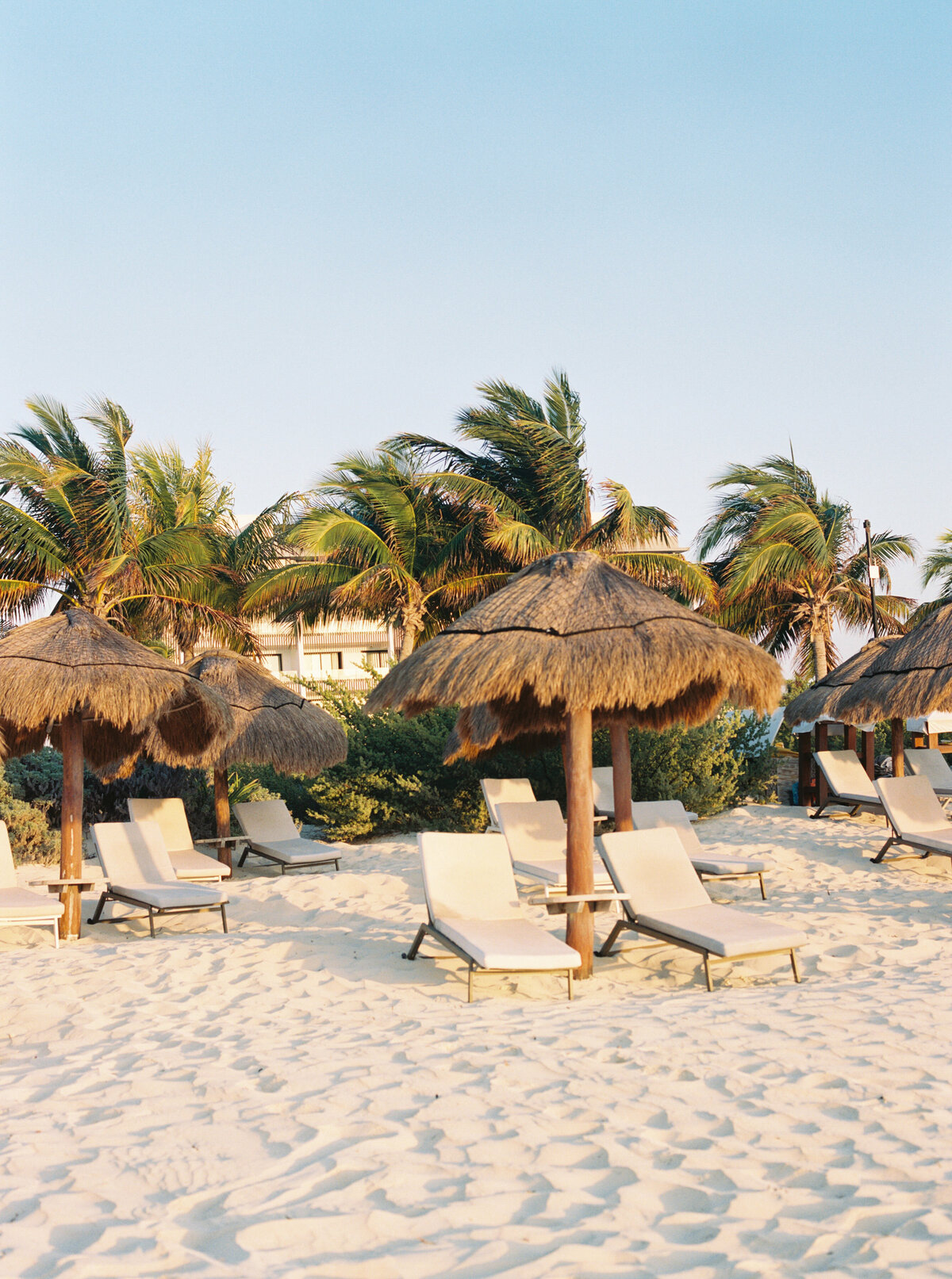 petal-glass-portfolio-73