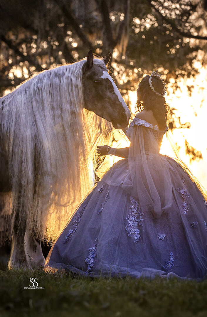 AA0I3015©StunningSteedsPhoto