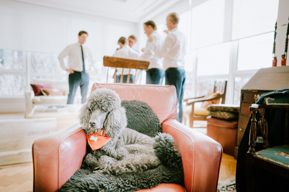 gather-and-tailor-wedding-photography-5