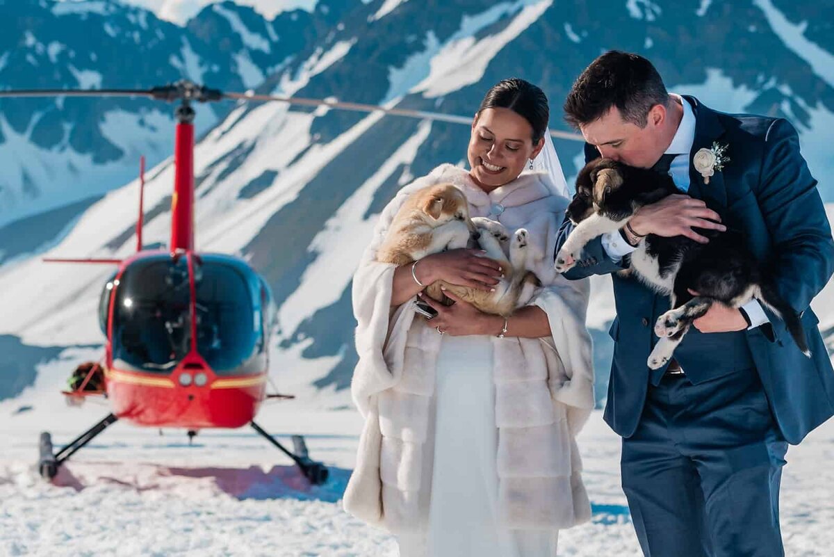 A bride and groom hold sled dog puppies after a dog sled across the glacier during their two day Kenai Fjords adventure luxe elopement.  The groom holds a fluffy black and white dogsled puppy and kisses it on its head.  The bride is smiling broadly and laughing and holding a fluffy white and tan husky puppy.  The private helicopter they flew in on is bright red and viewable behind them, and the snow gleams white against the dark snowy mountains rising up from the glacier.