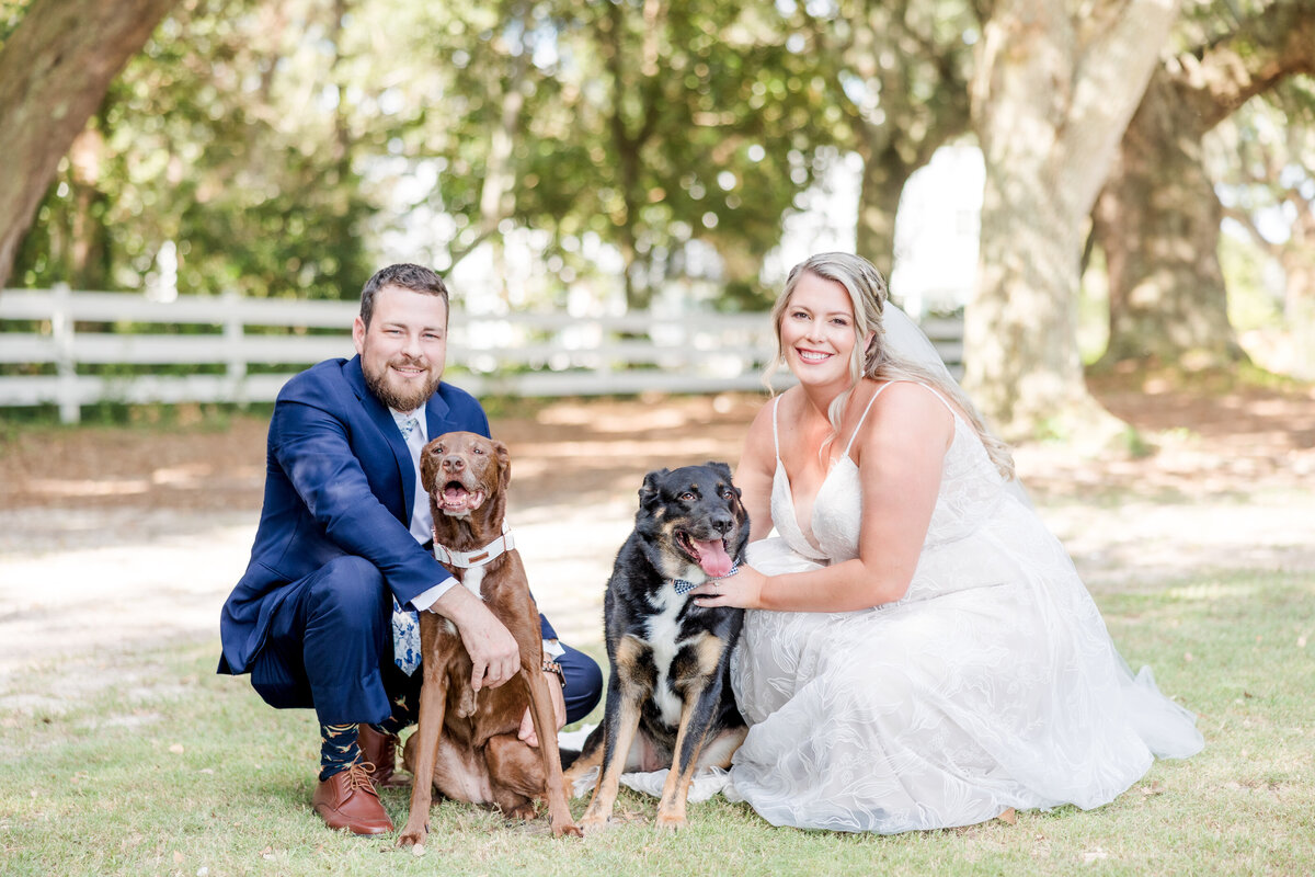 Michaela + Bobby  The Dogs-2