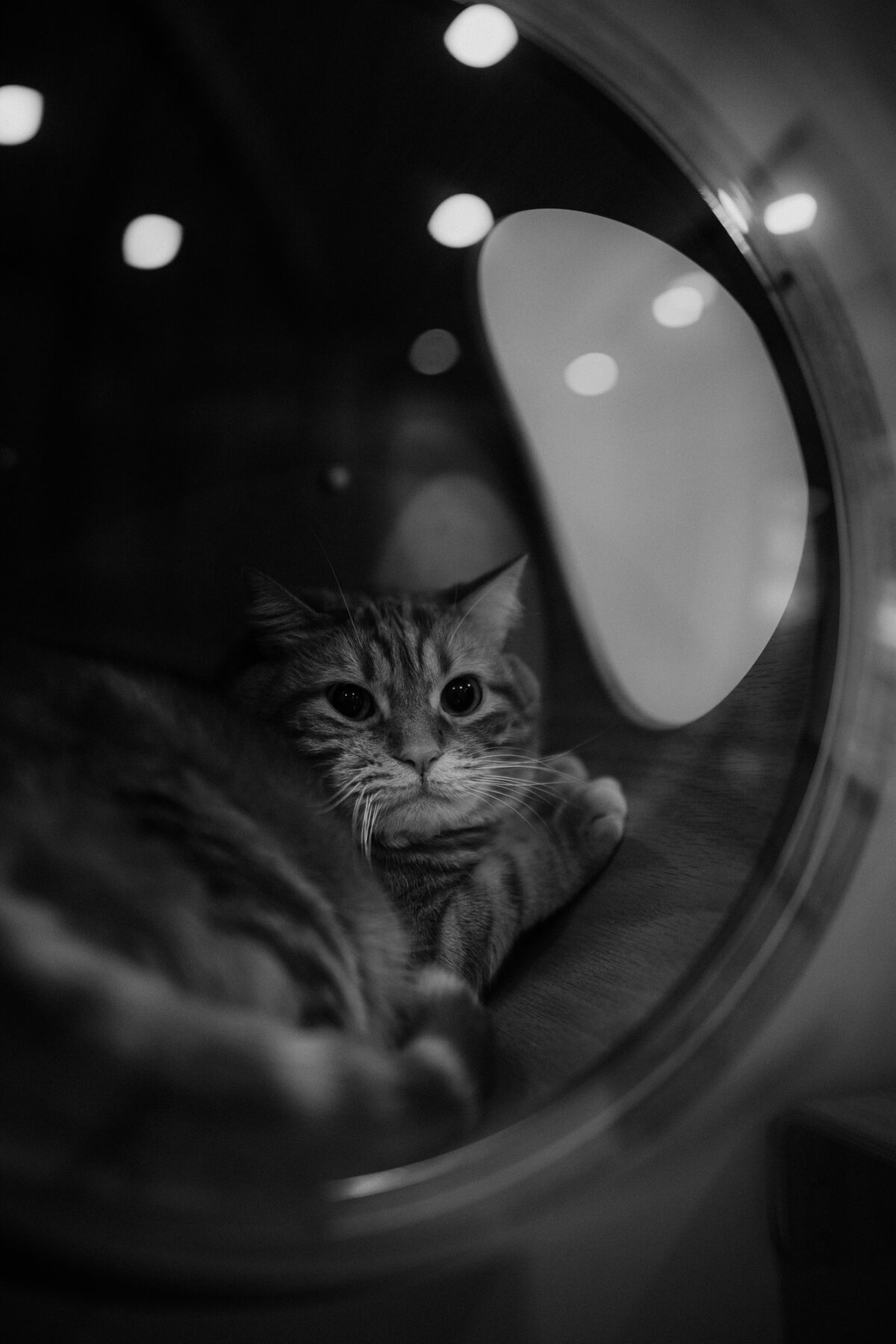 Aéris (22)