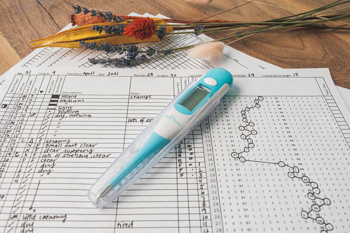 Learn to chart your fertility through the different phases of the menstrual cycle. Honey Pot Health provides fun, #nofilter education about Fertility Awareness and charting your menstrual cycle for natural and effective birth control or to conceive.