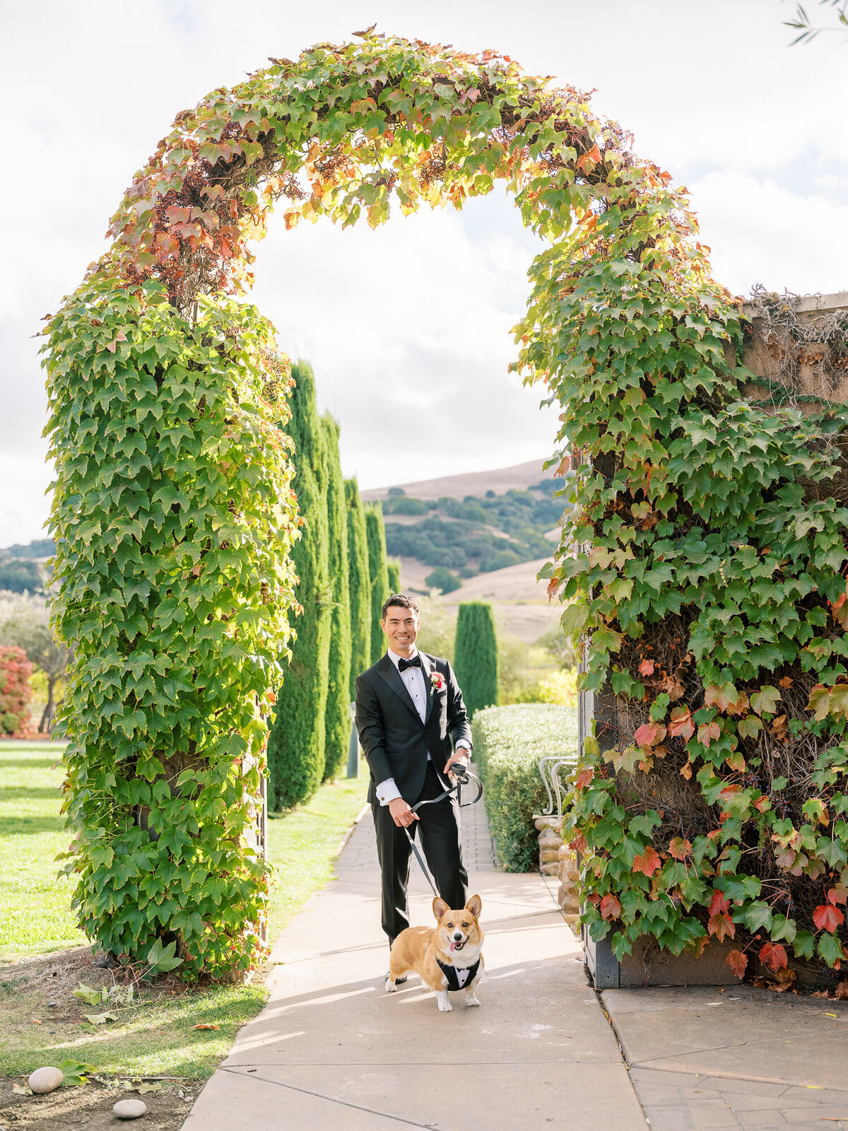 Groom portraits at Viansa winery