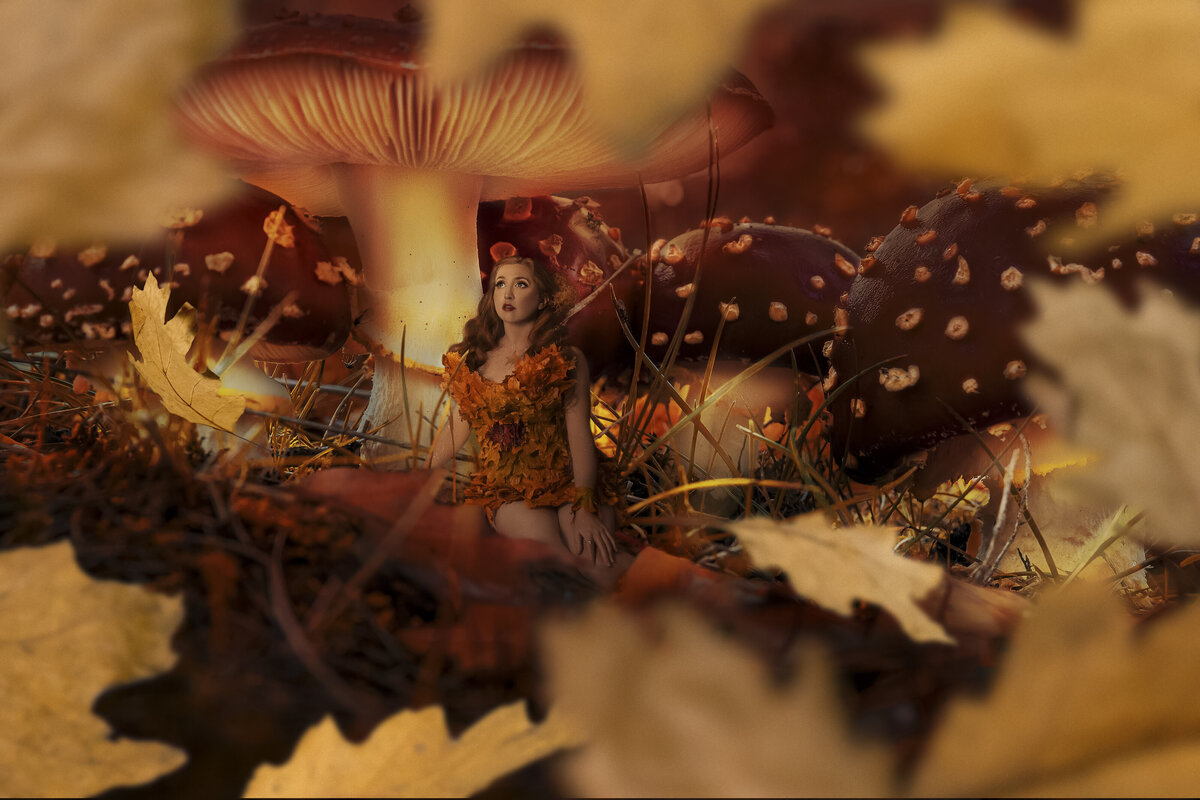 kirakiraartistry_fullsize-Interesting Mushroom Background
