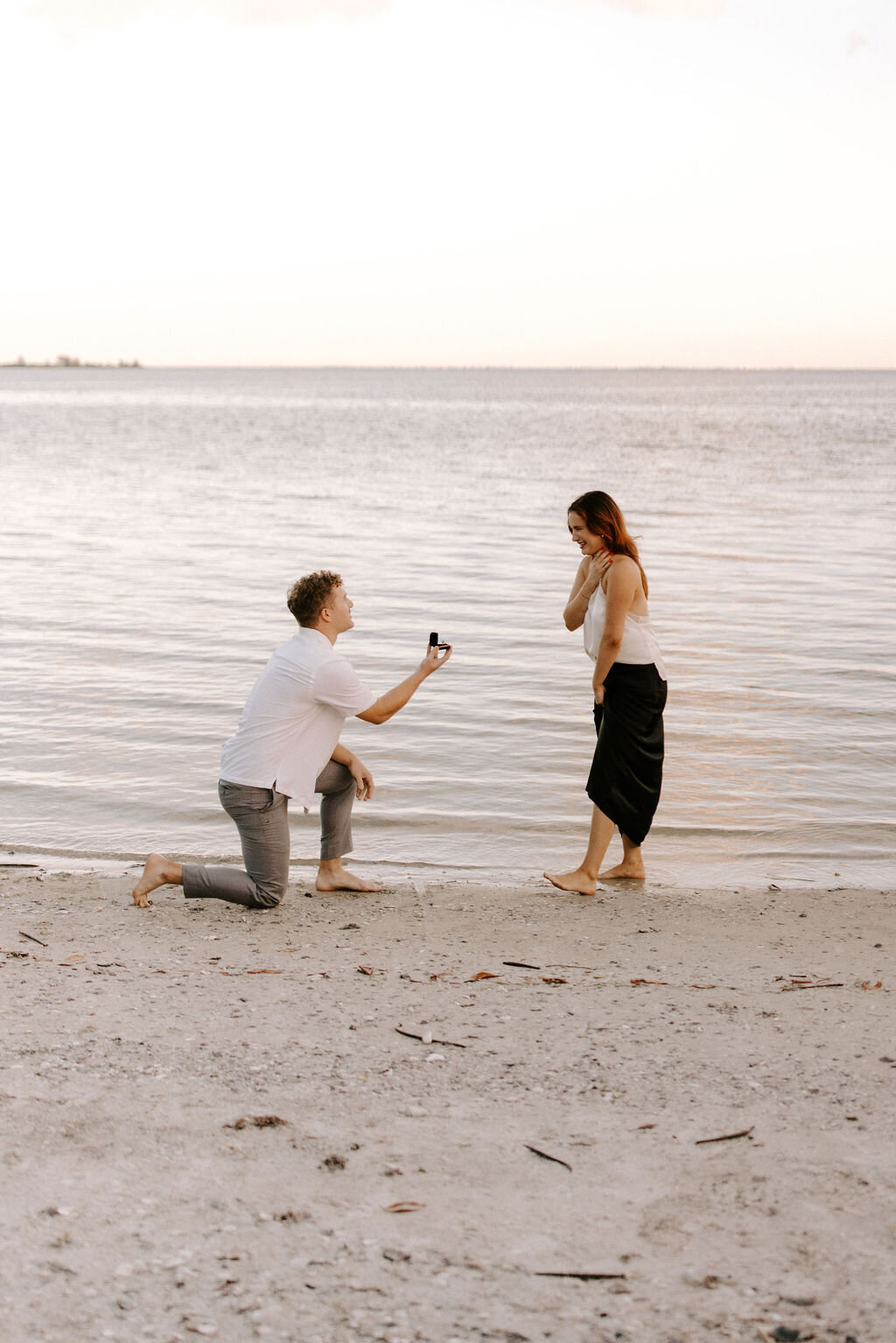 Surprise Proposal Tampa Florida