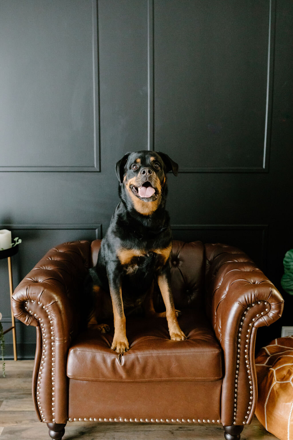 christina_ney_photography_wedding_engagement_lifestyle_photographer_dubuque_iowa_wedding_planning_assistance_adventurous_bold_laidback Family Photography59