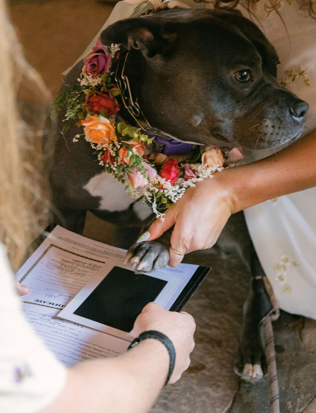 halfway-house-boulder-wedding105