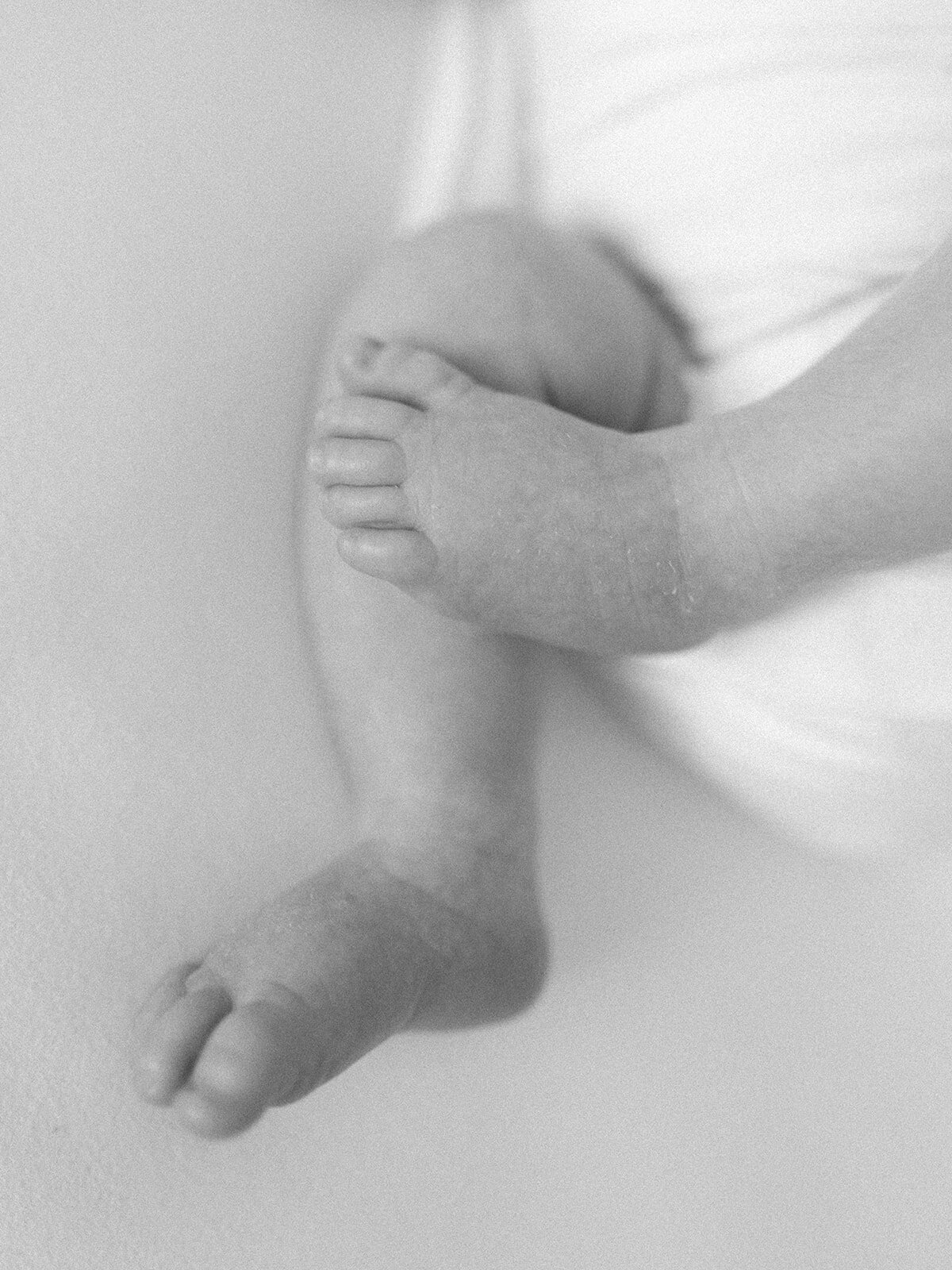 Newborn baby feet