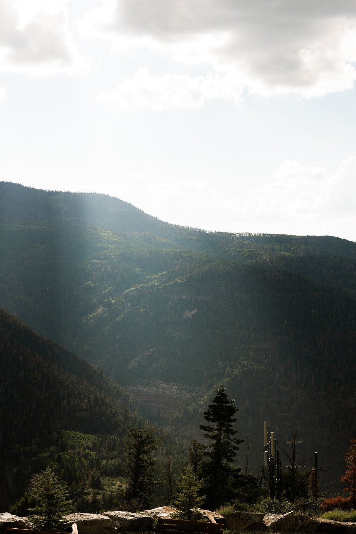 9670706833.jpg_exif1