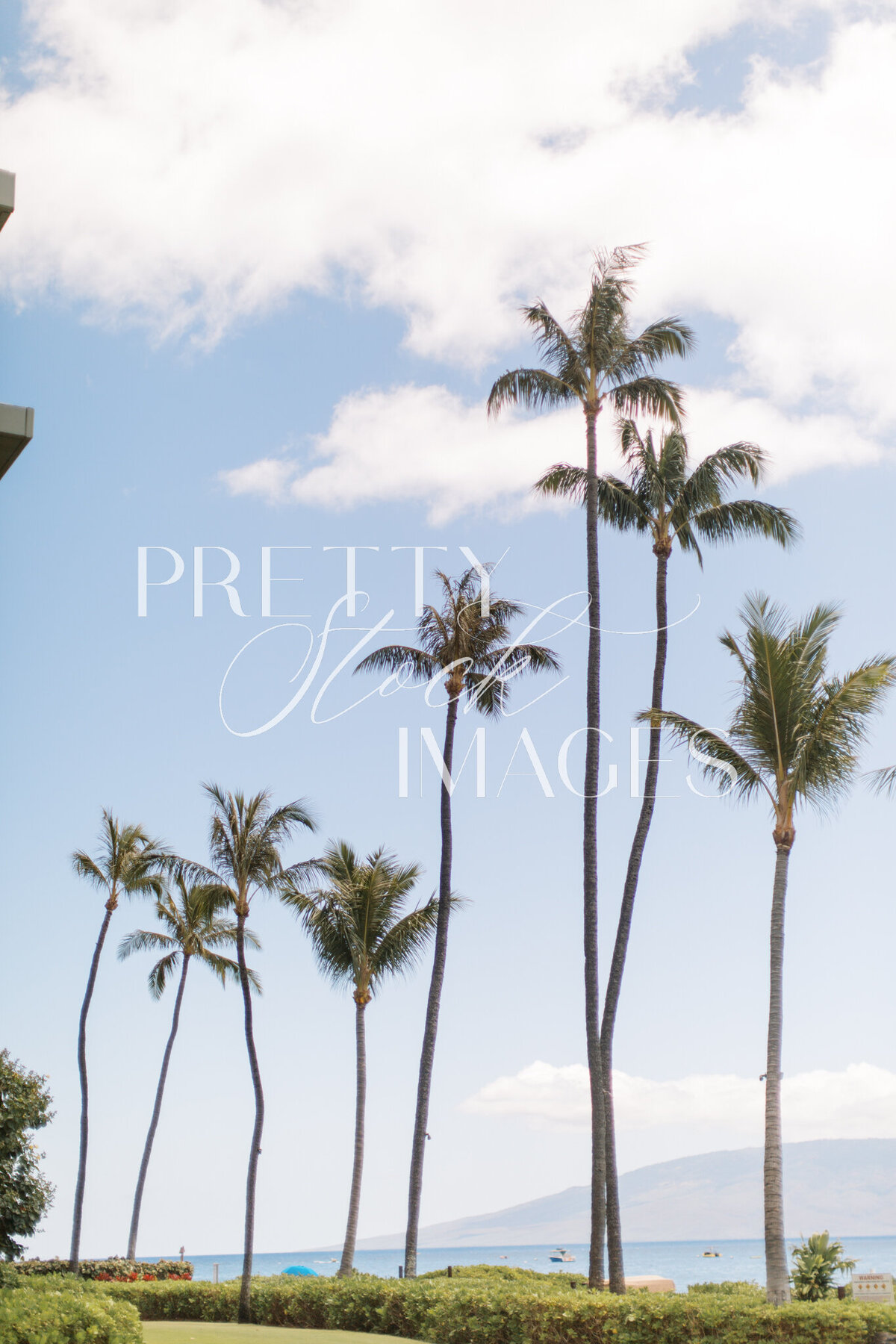 Pretty Stock Images - Hawaii-45