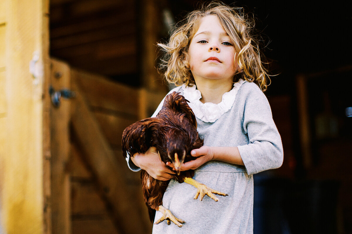 girl holds chicken in her backyard in niwot, colorado