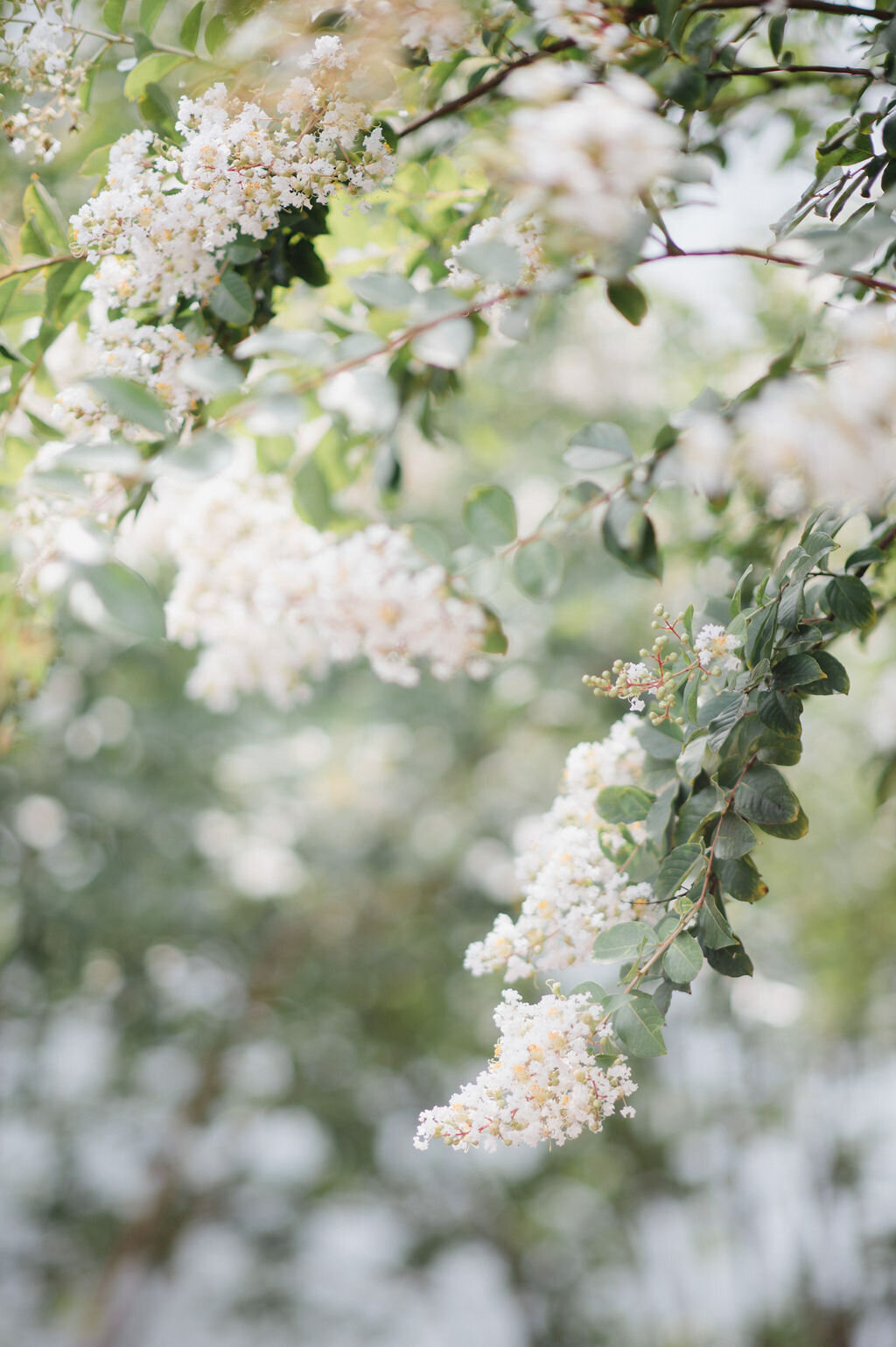 EmilyMillayPhotography-64