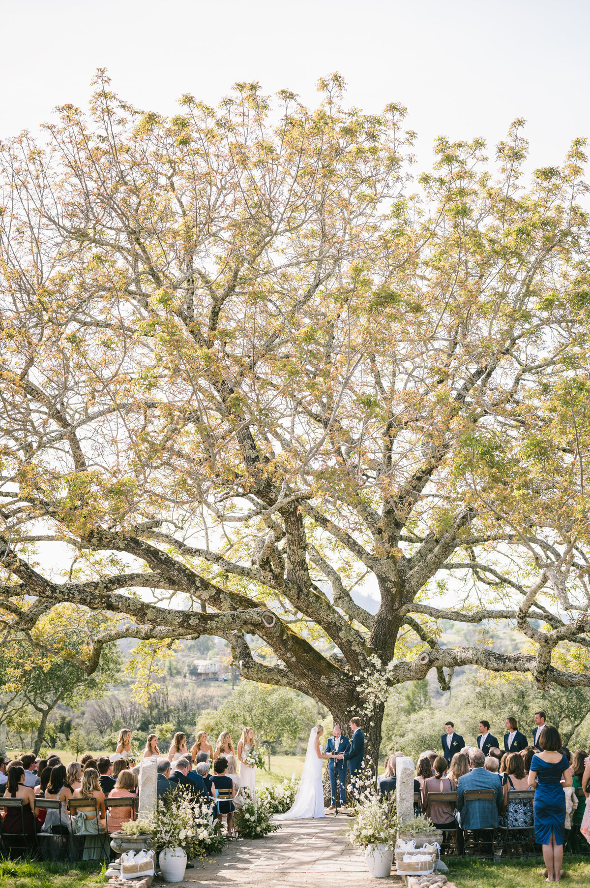 Best California Wedding Photographer-& Co by Jodee-Jodee Friday & Co-61