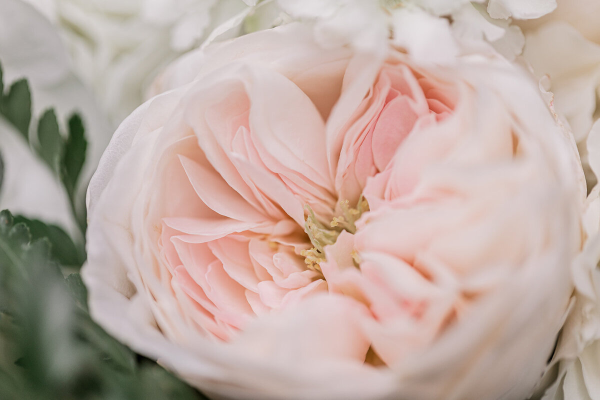 Forever Love Chicago Wedding Photographer-8