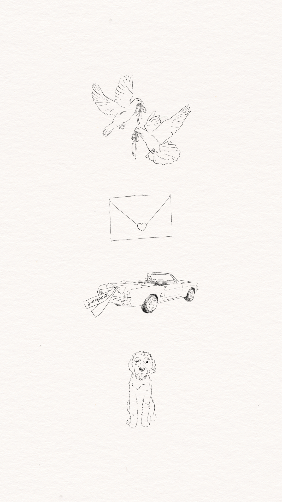 Custom hand-drawn brand illustrations featuring doves, a love letter, vintage car, and golden retriever—perfect for romantic brands.