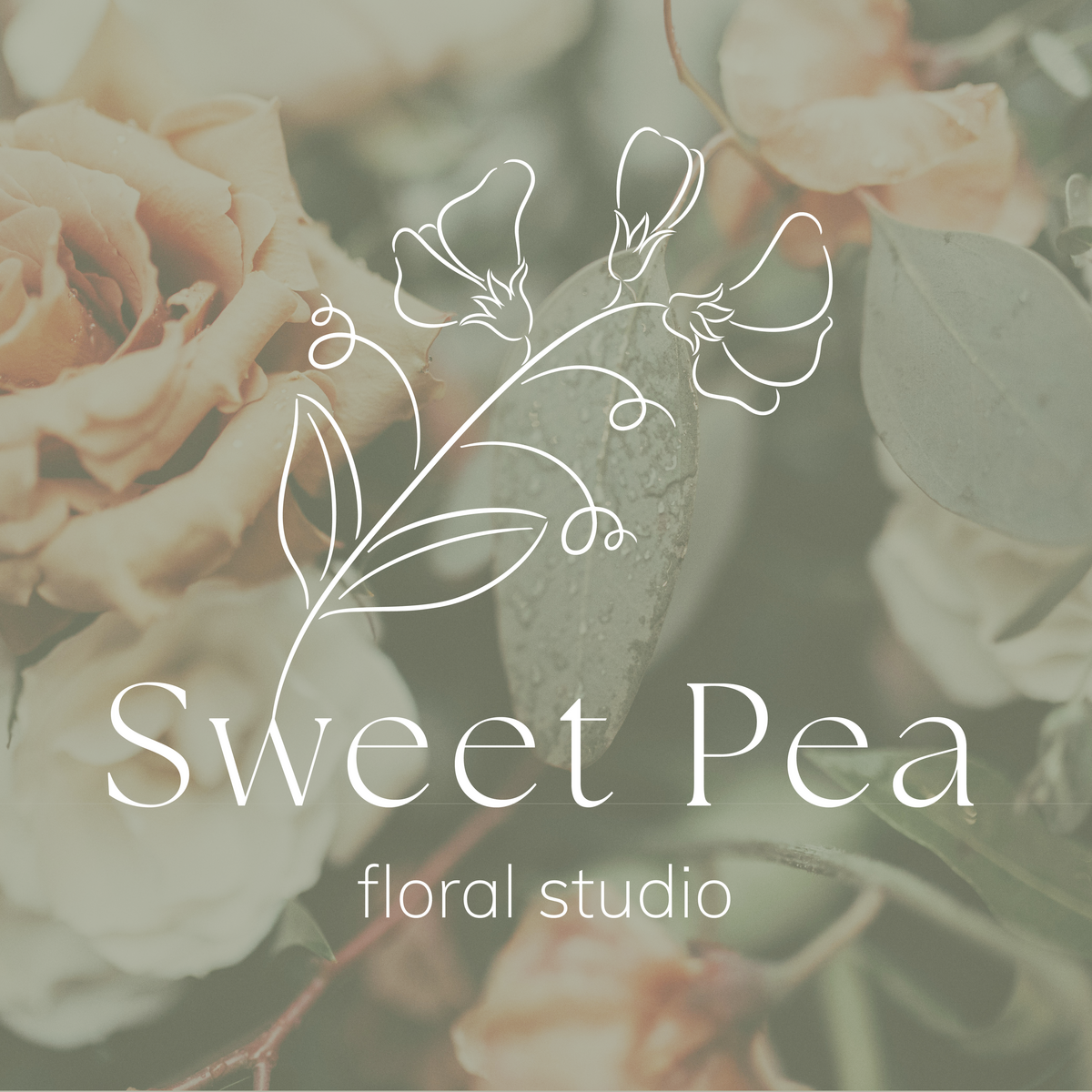SWEETPEA_BACKGROUND-01