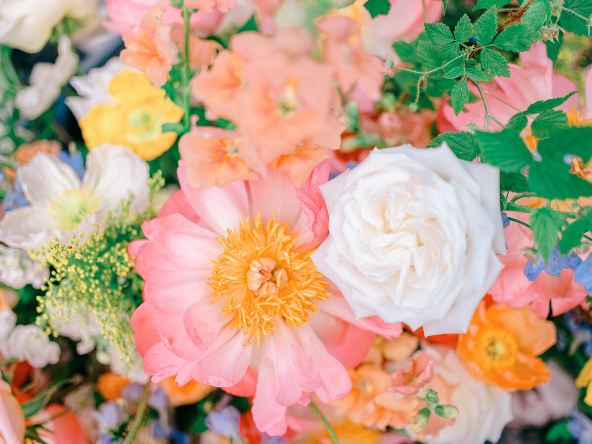 Charlotte_Chris_Chebeague_Highlights-27