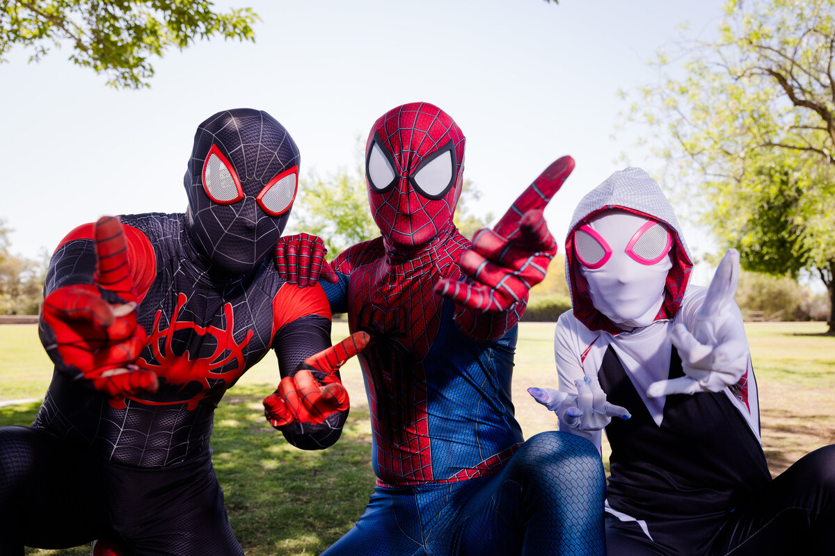 Spideys 3