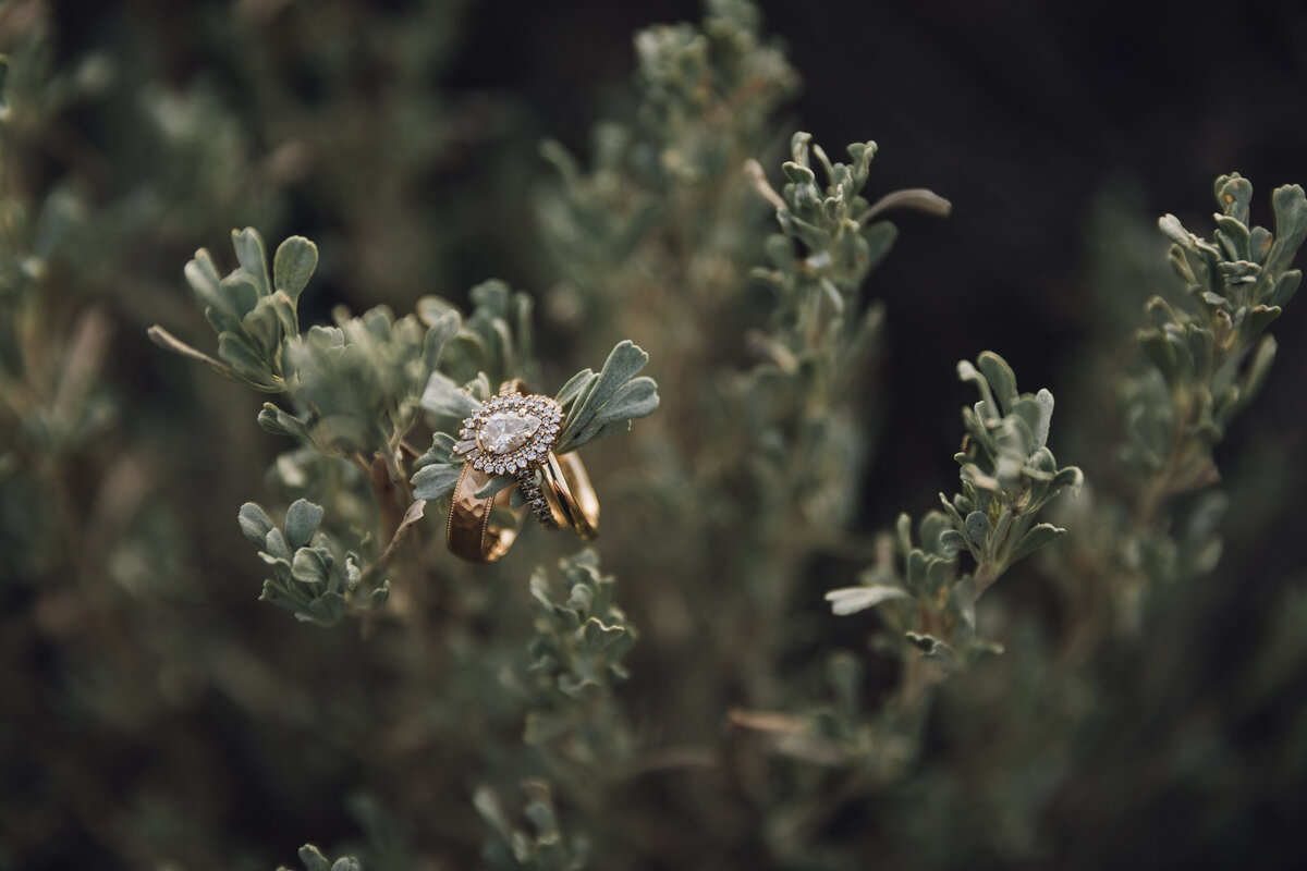 Penticton Okanagan British Columbia Wedding Photographer 47
