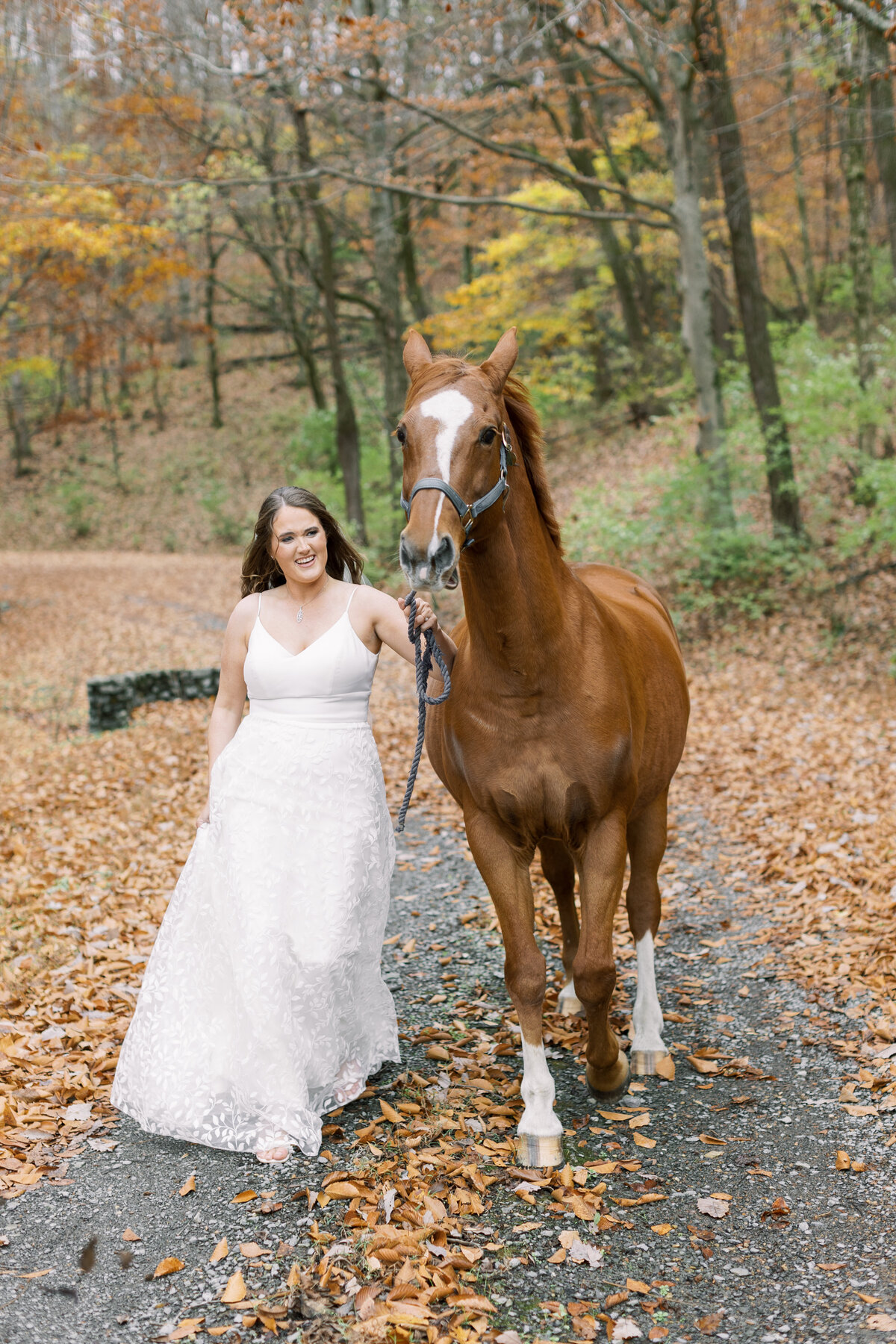 horse-with-bride