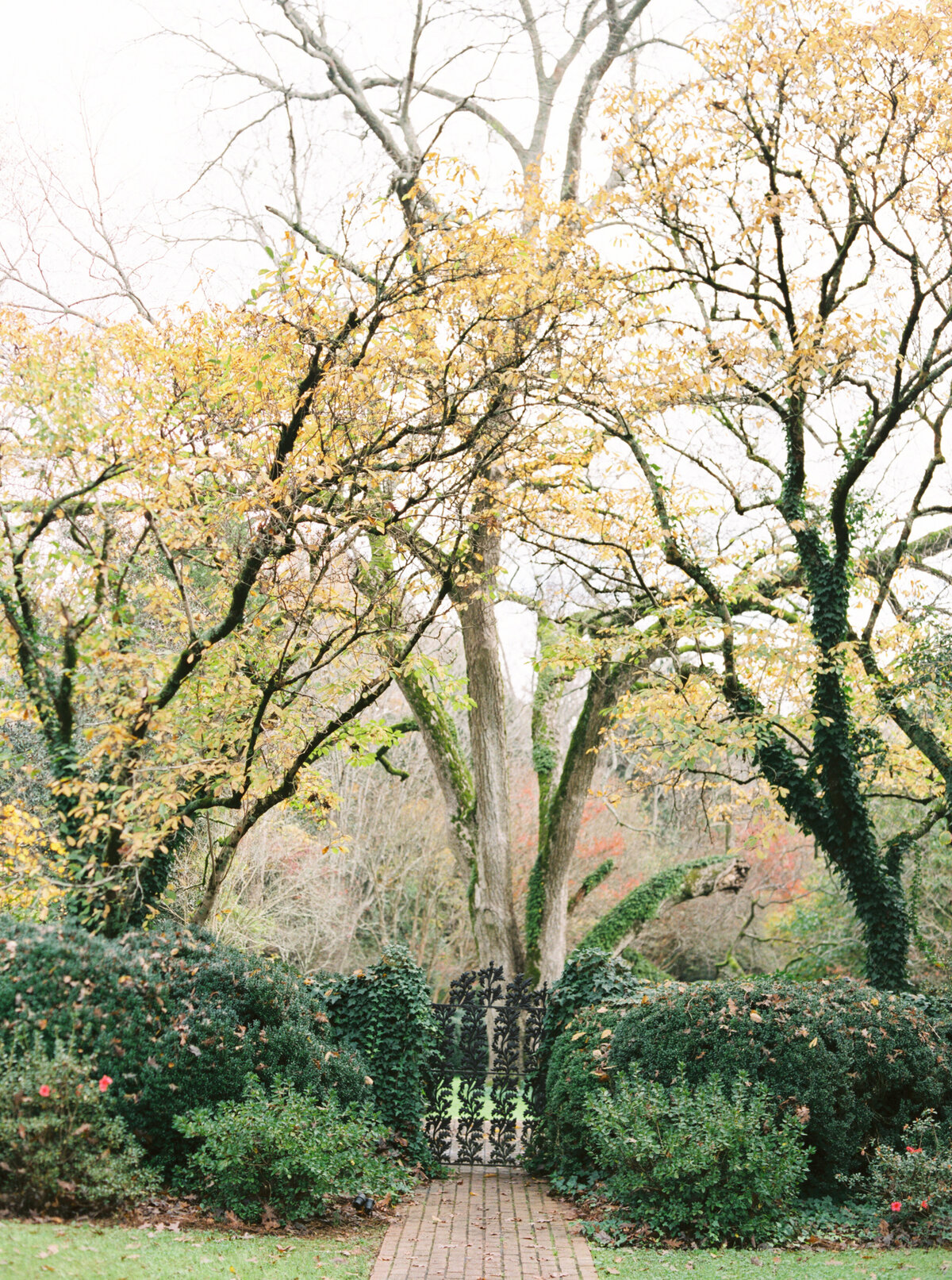 TaylorWillWedding-16